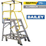 Access Platform Ladder